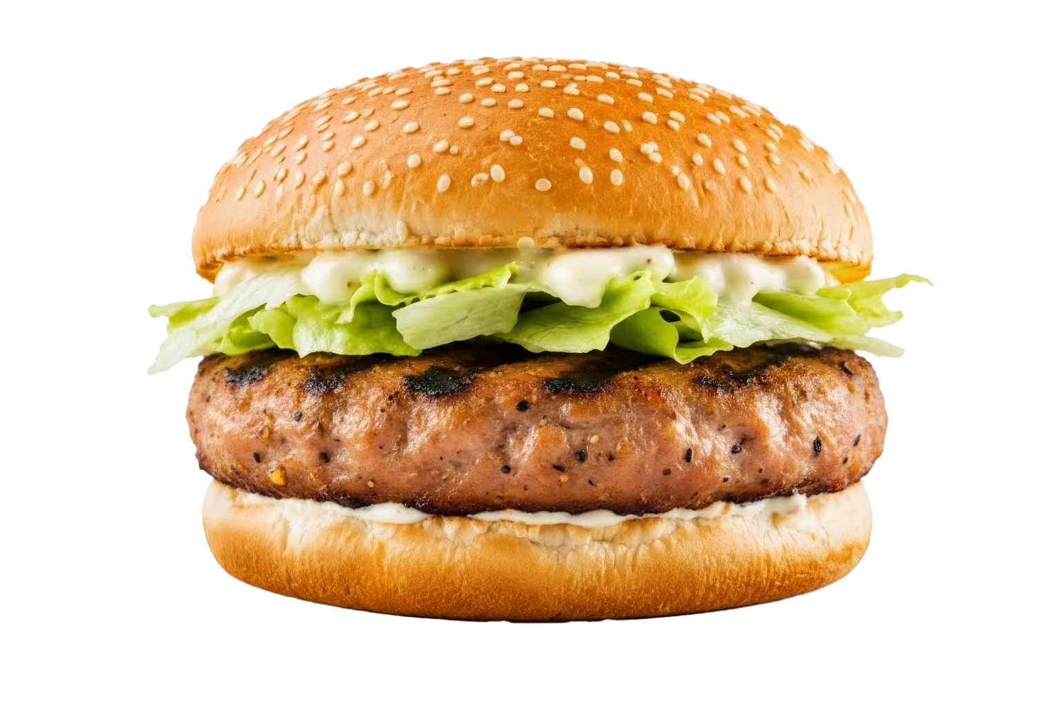 Chicken Burger